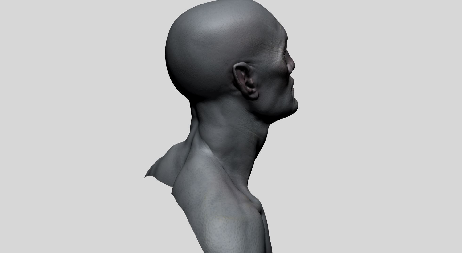 Creature Head F 3D model_3