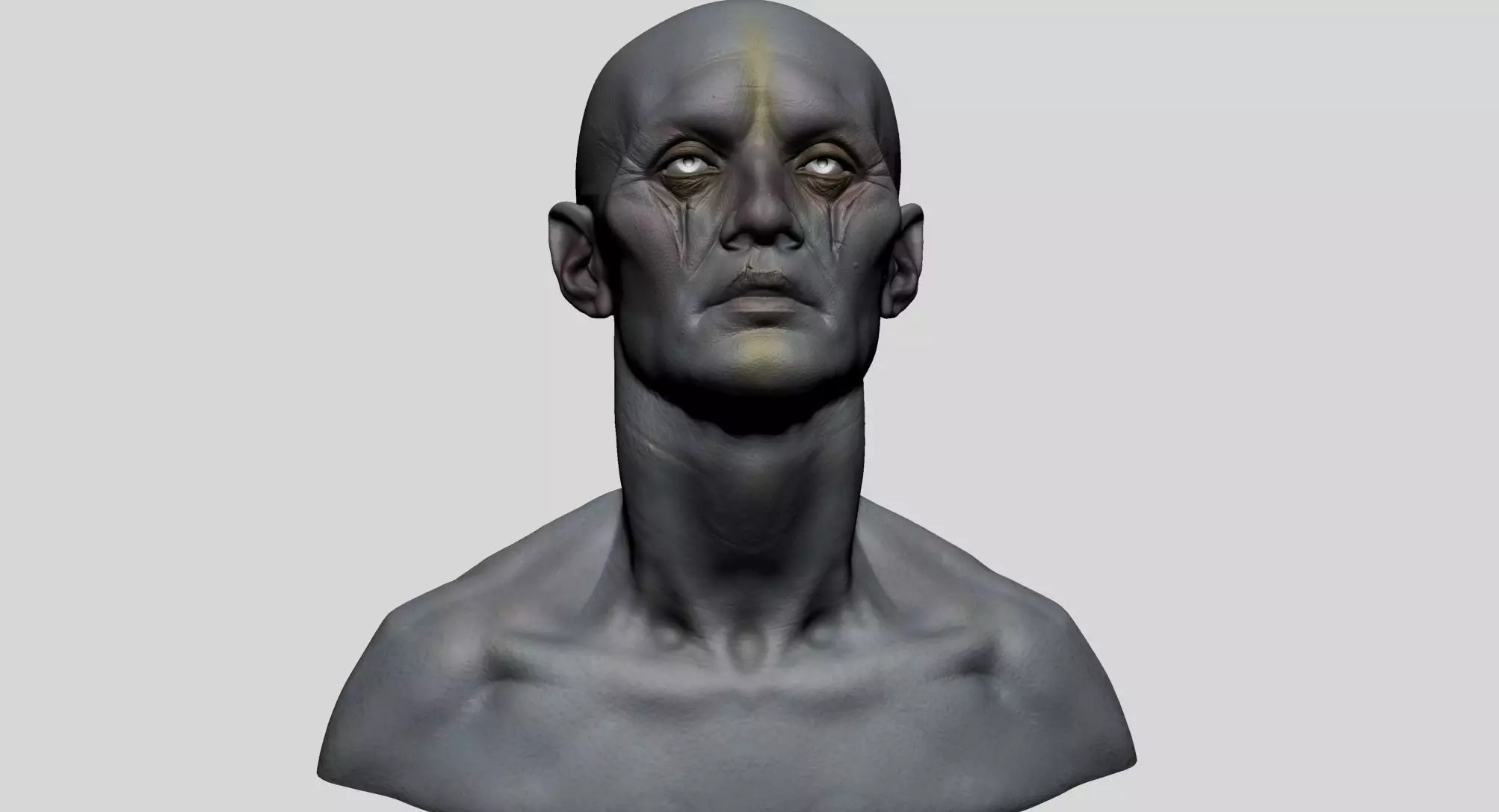 Creature Head F 3D model_0