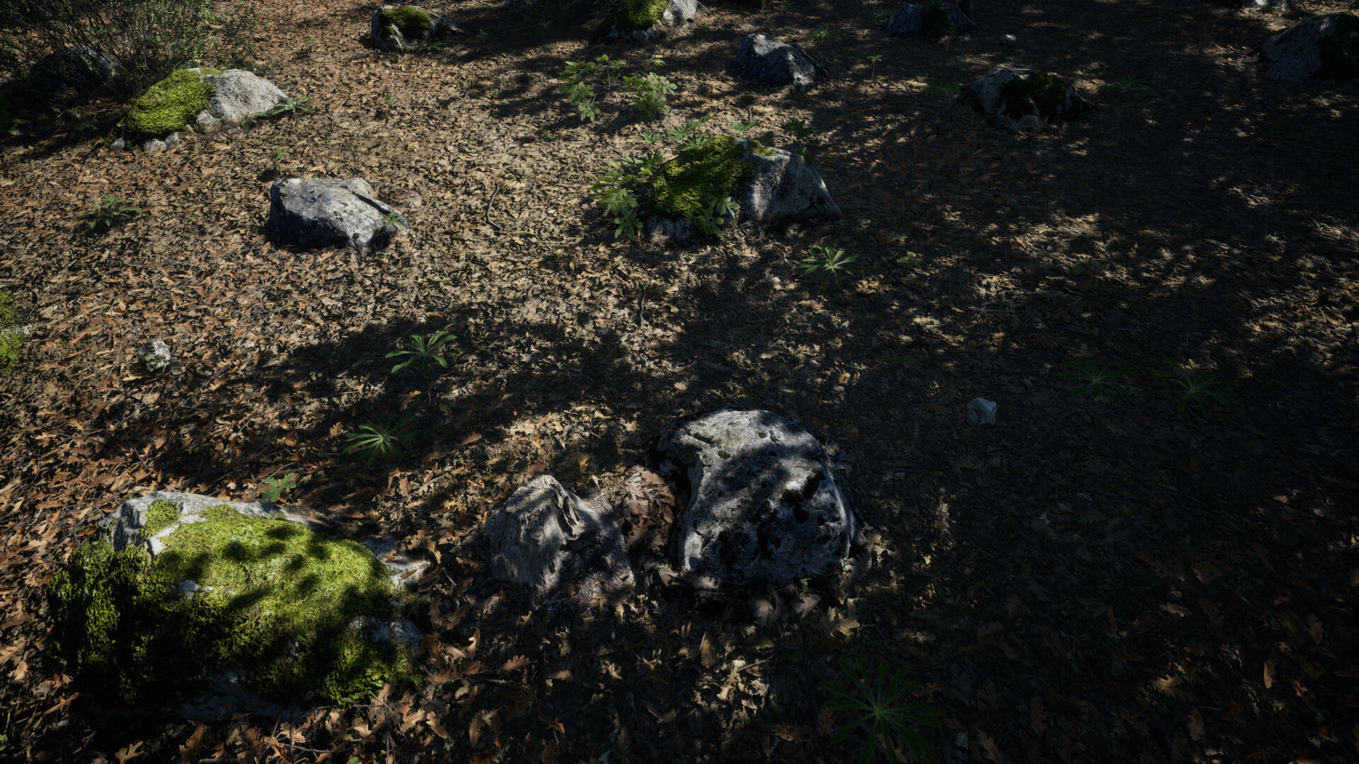 MAE Oak Forest - UE4 and UE5 Low-poly 3D model_2