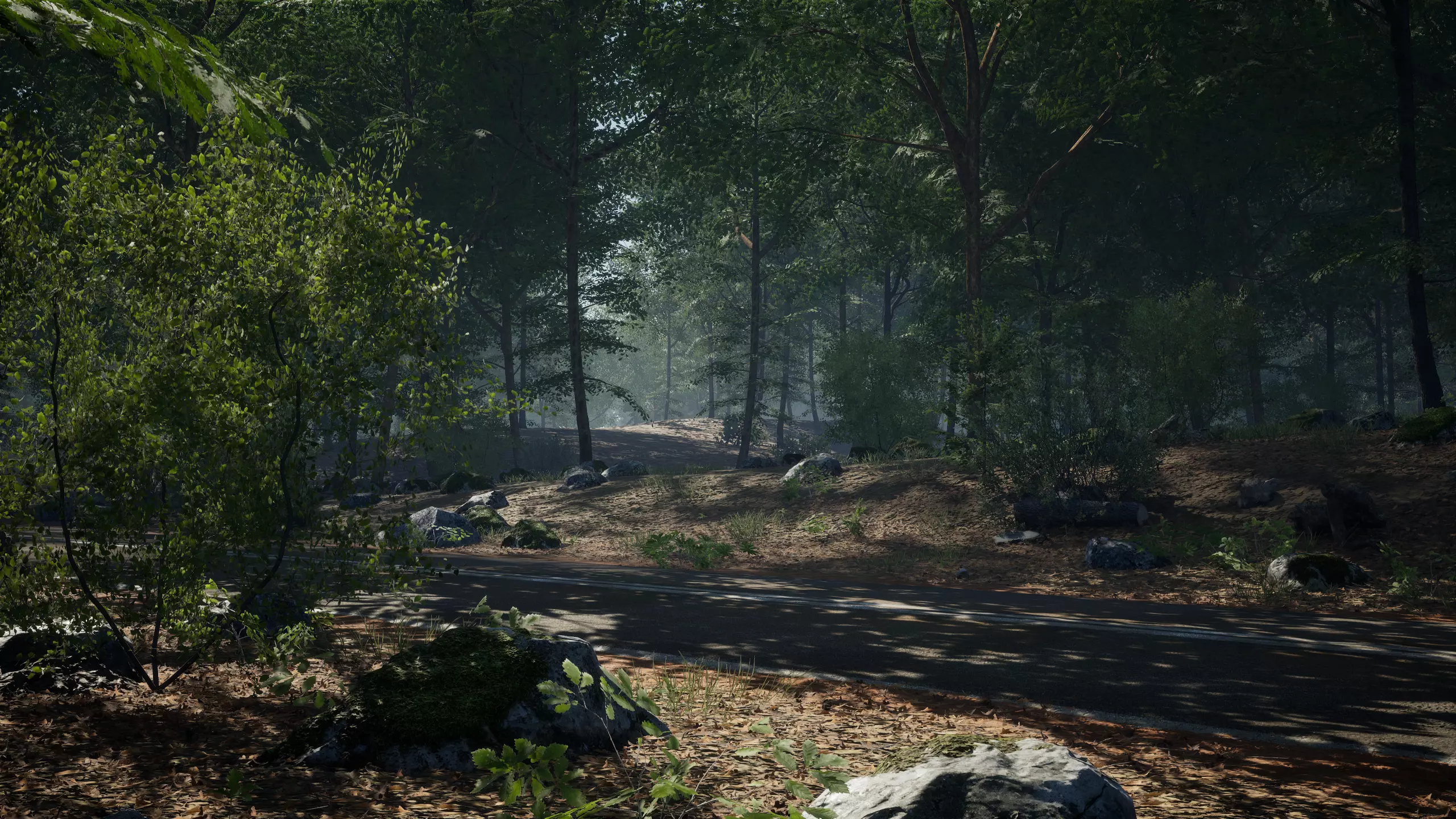 MAE Oak Forest - UE4 and UE5 Low-poly 3D model_0