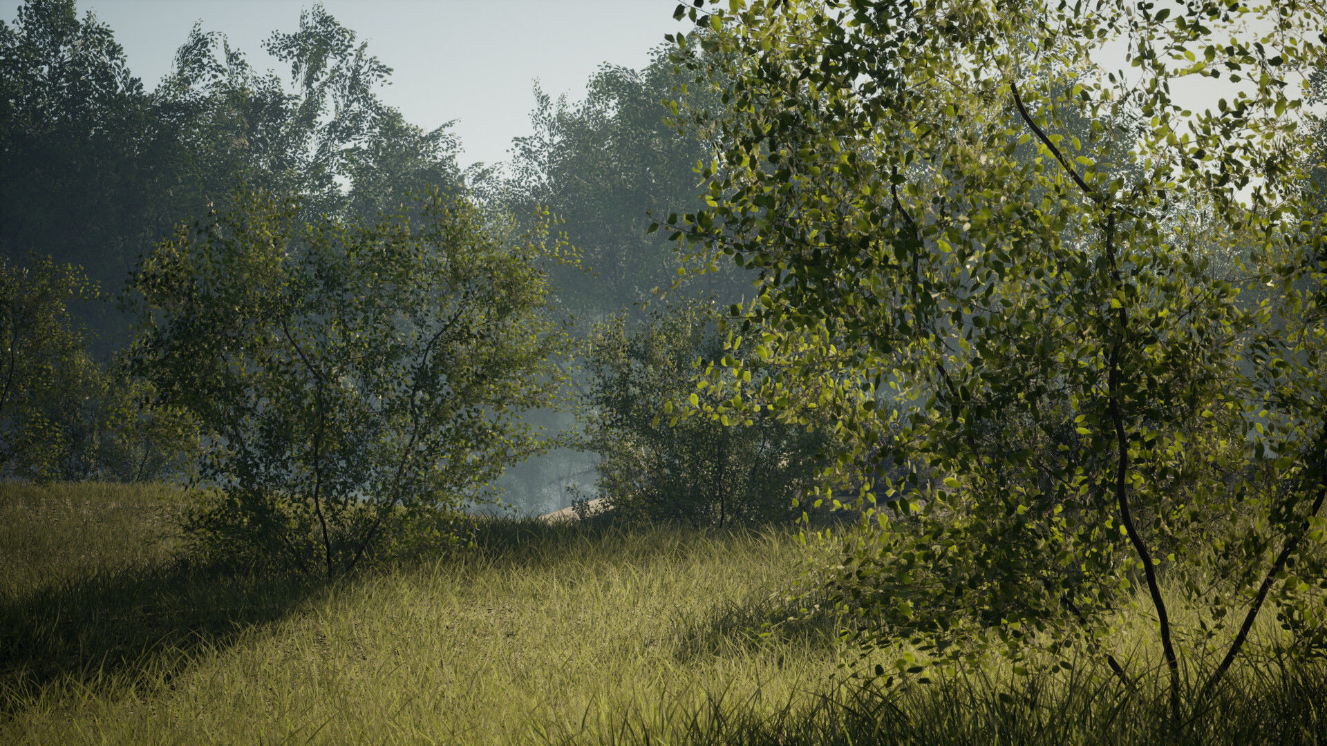 MAE Oak Forest - UE4 and UE5 Low-poly 3D model_7