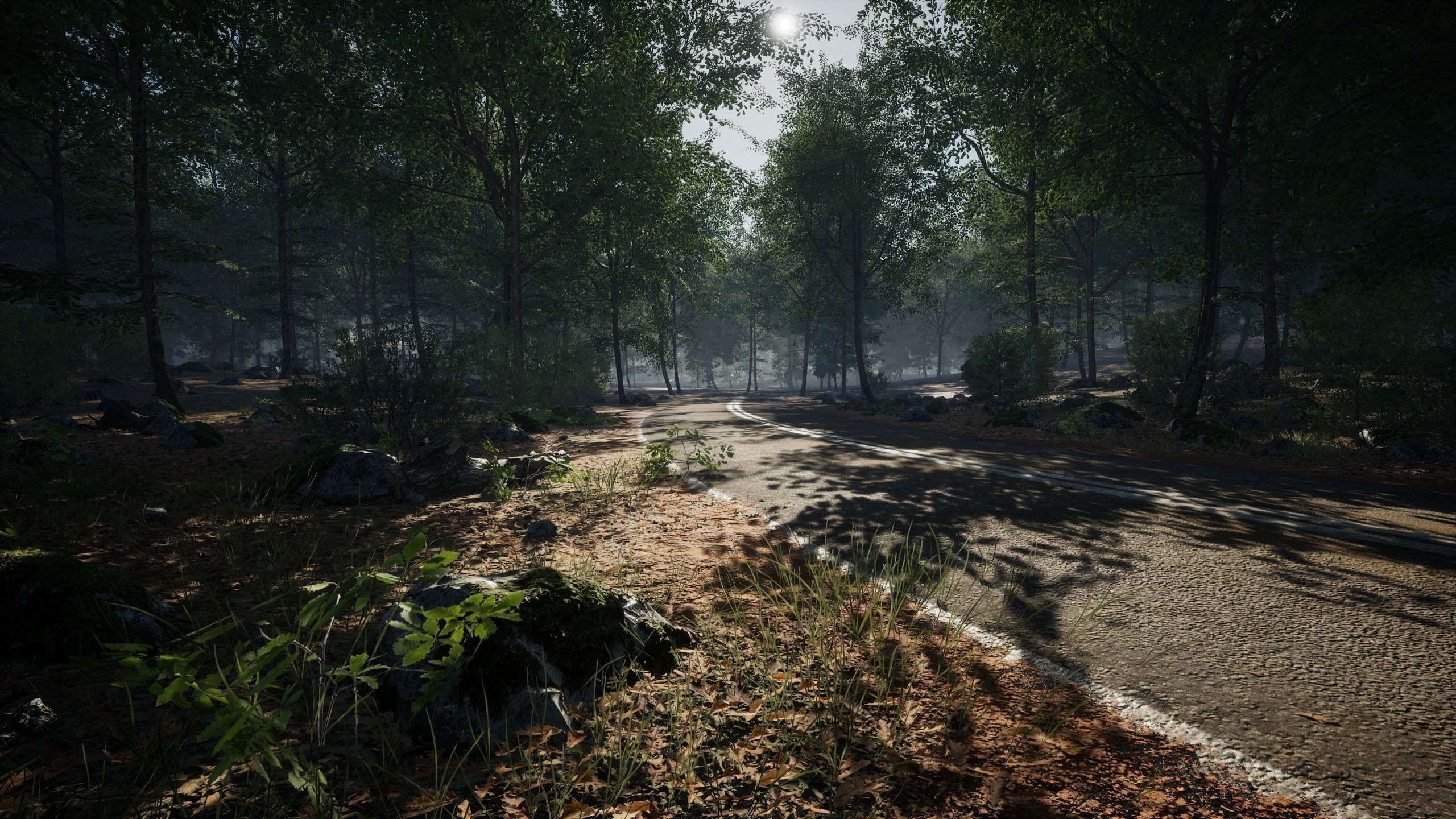 MAE Oak Forest - UE4 and UE5 Low-poly 3D model_3