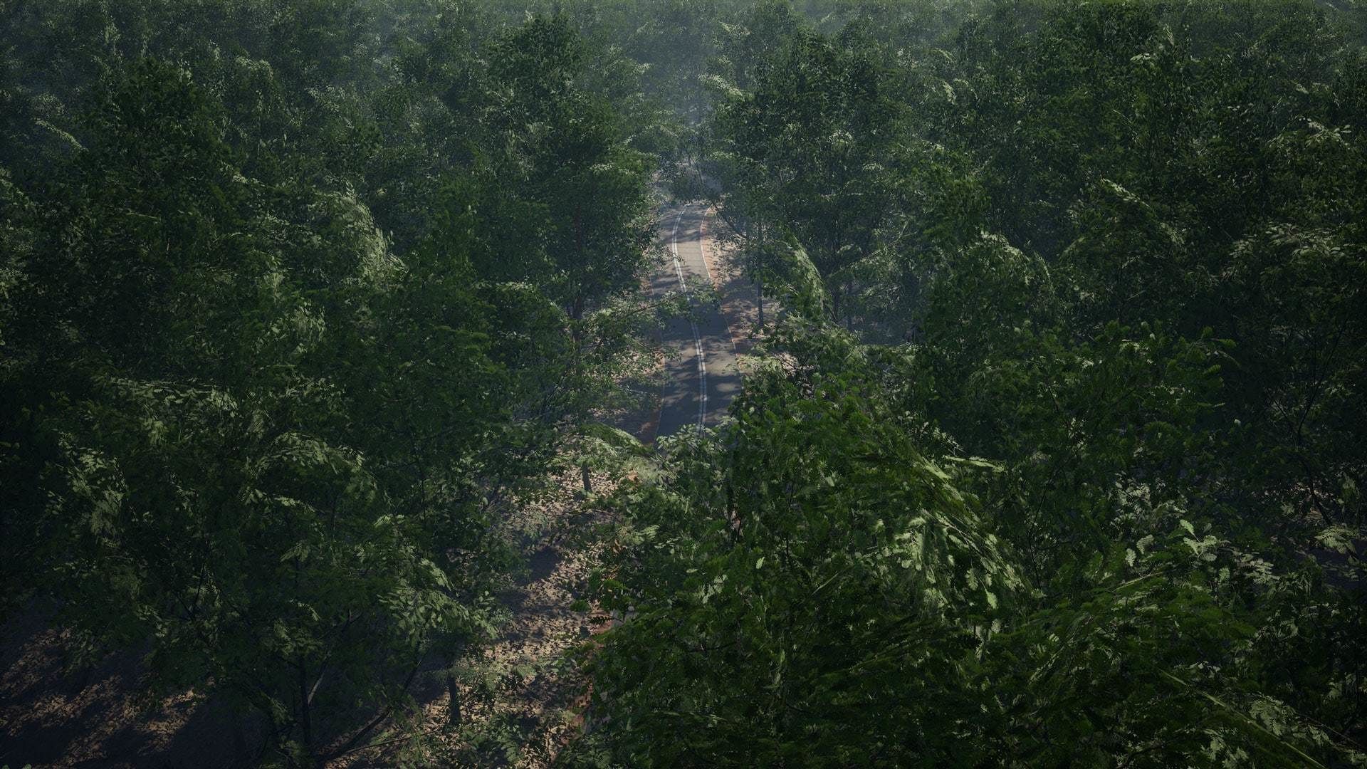 MAE Oak Forest - UE4 and UE5 Low-poly 3D model_4