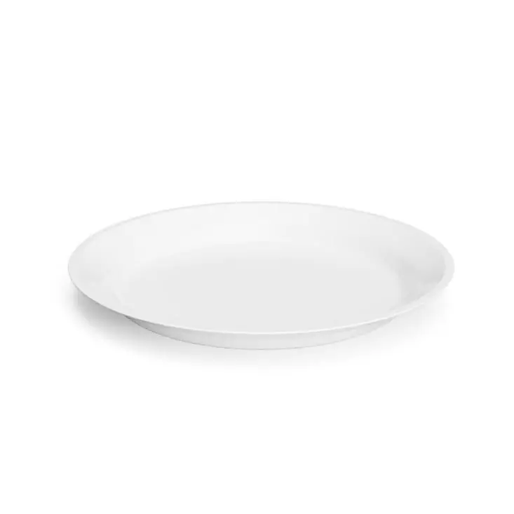 Simple Plate Free 3D model