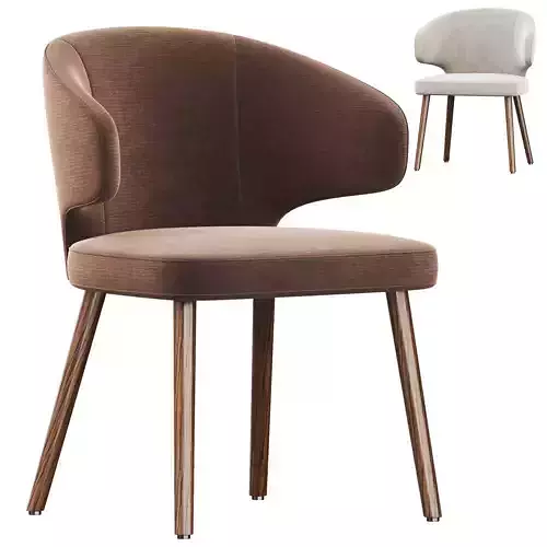 Modern dining chair