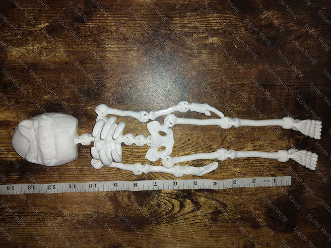 Oogie Boogie articulating skeleton 3D print model