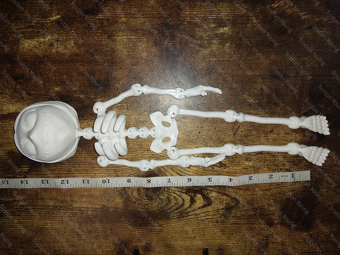 Sally Skellington articulating skeleton 3D print model