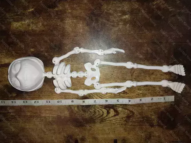 Sally Skellington articulating skeleton 3D print model