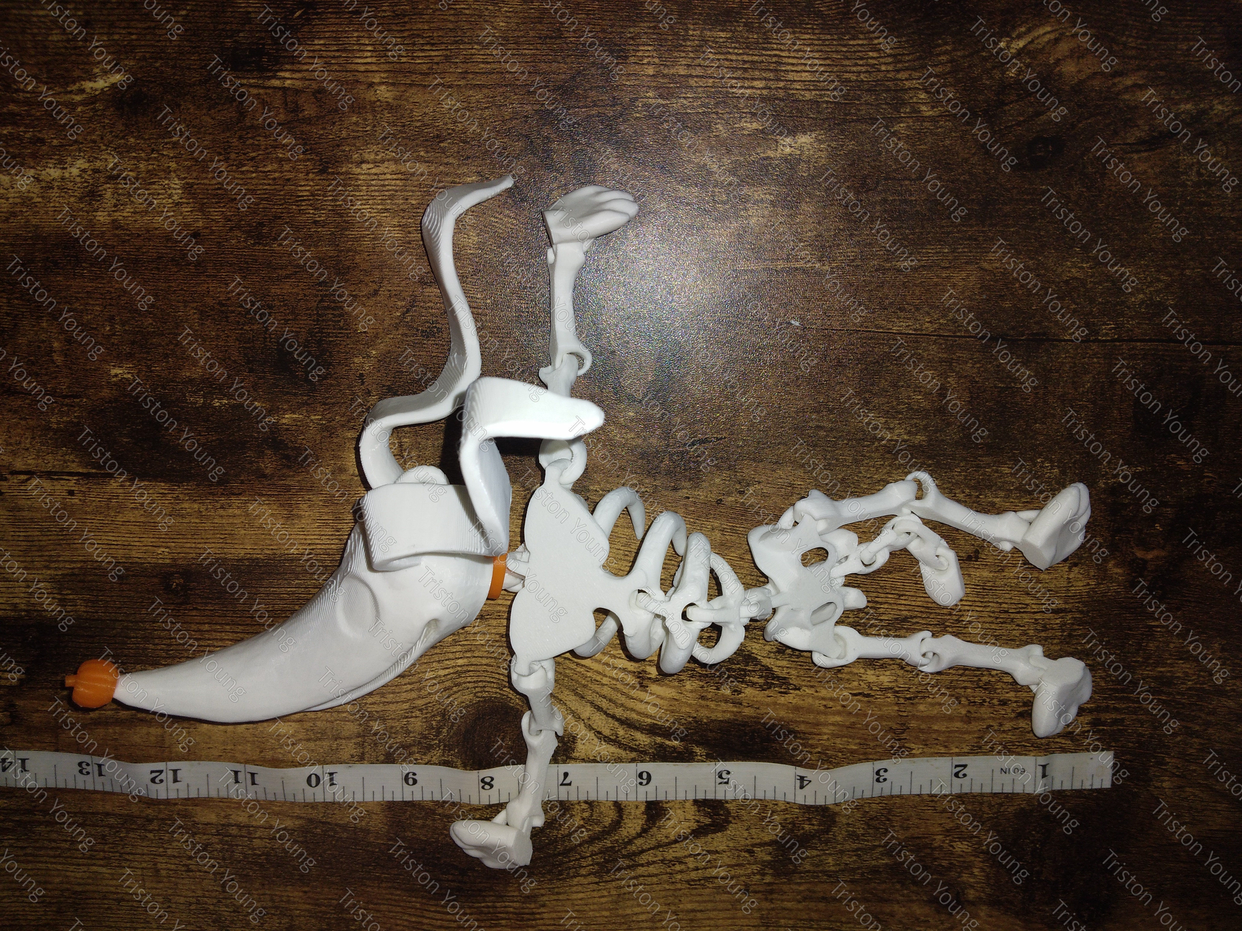 Zero articulating skeleton 3D print model_1