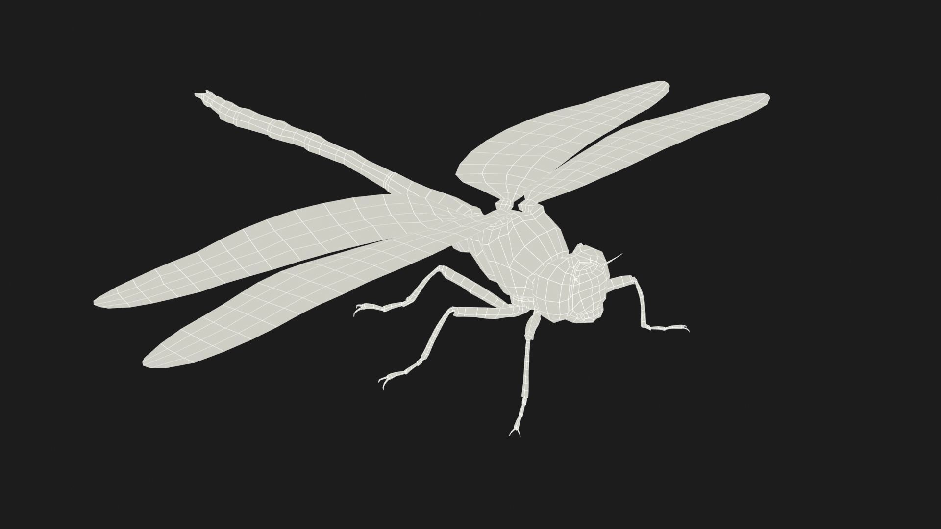 Trithemis Arteriosa Dragonfly - Female Low-poly 3D model_6