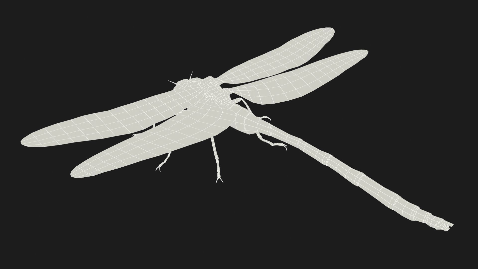 Trithemis Arteriosa Dragonfly - Female Low-poly 3D model_7