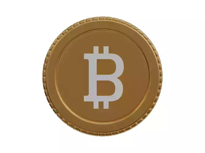 Bitcoin coin