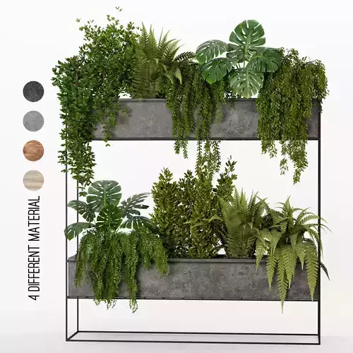 Indoor Hanging Plants - Set 01