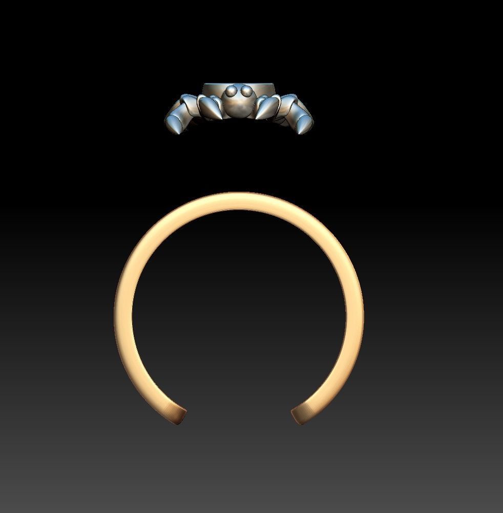 Spider and Web Ring KR 02 3D print model_15