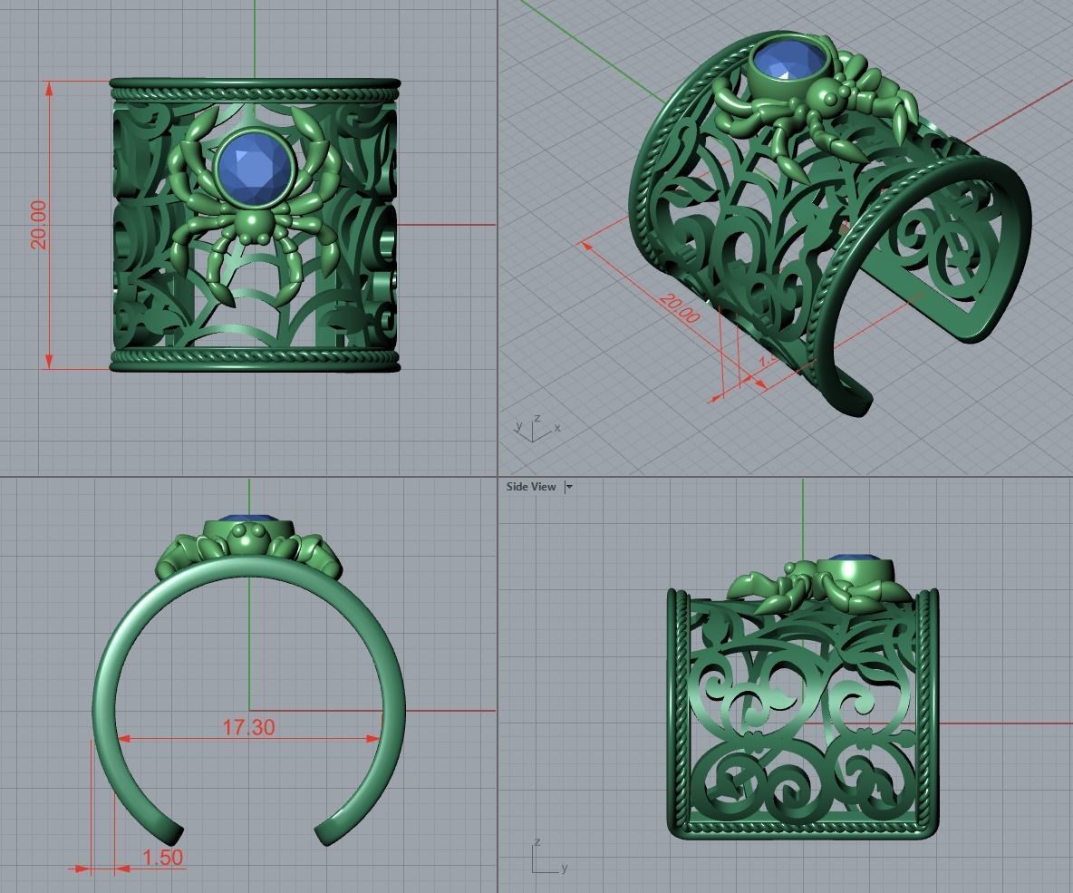 Spider and Web Ring KR 02 3D print model_11