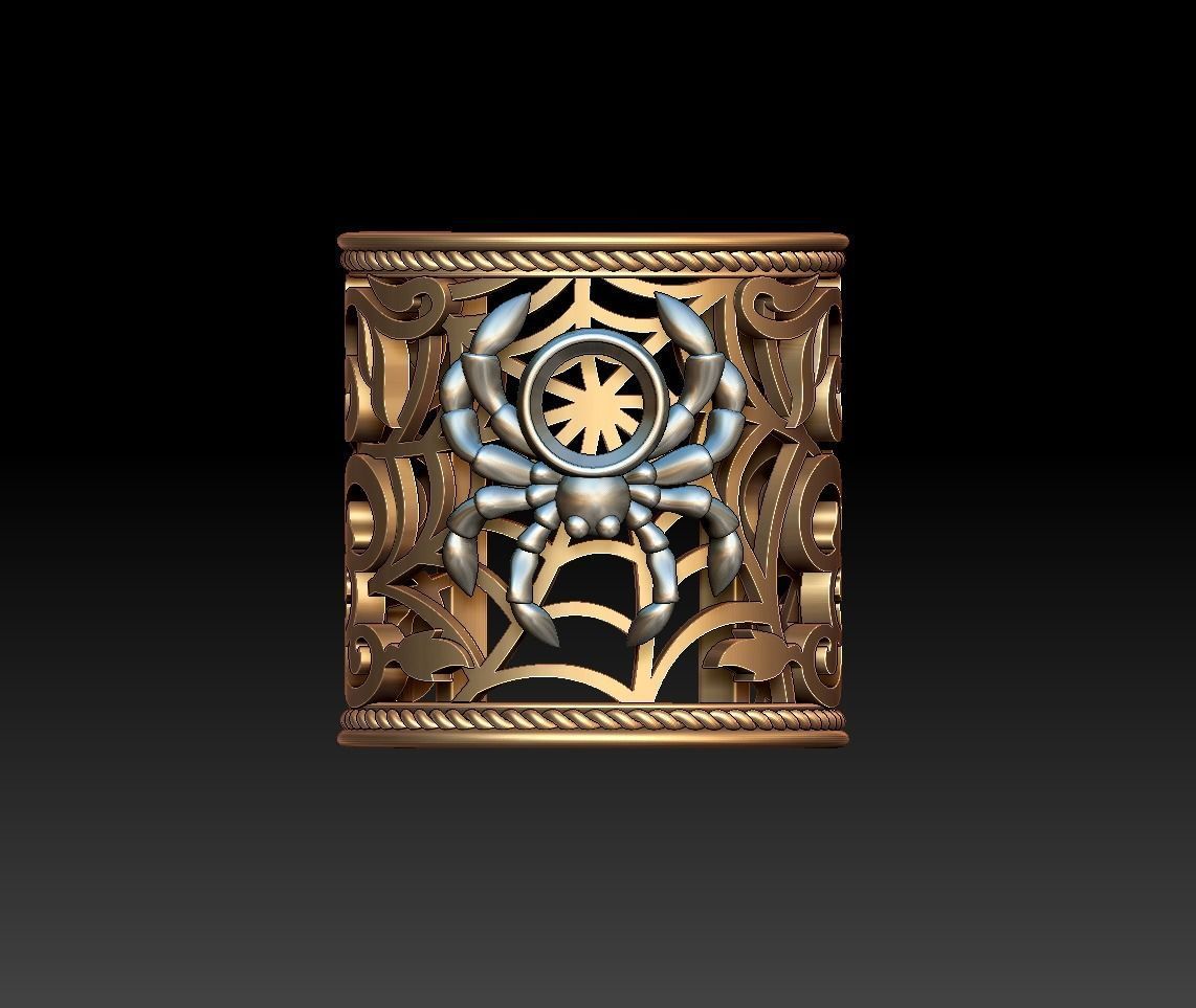 Spider and Web Ring KR 02 3D print model_1