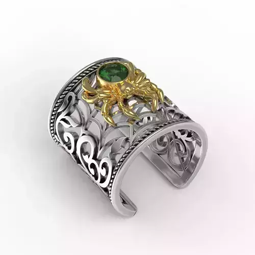 Spider and Web Ring KR 02 3D print model