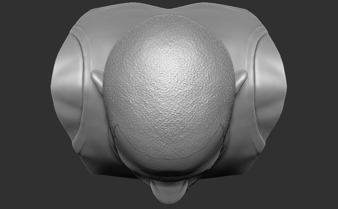 Chris Paul bust for 3D printing Free 3D print model_26