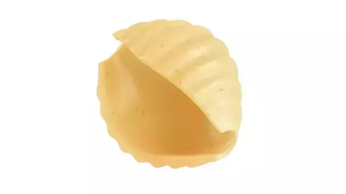 Pasta Small Conchiglie macaroni 3D model
