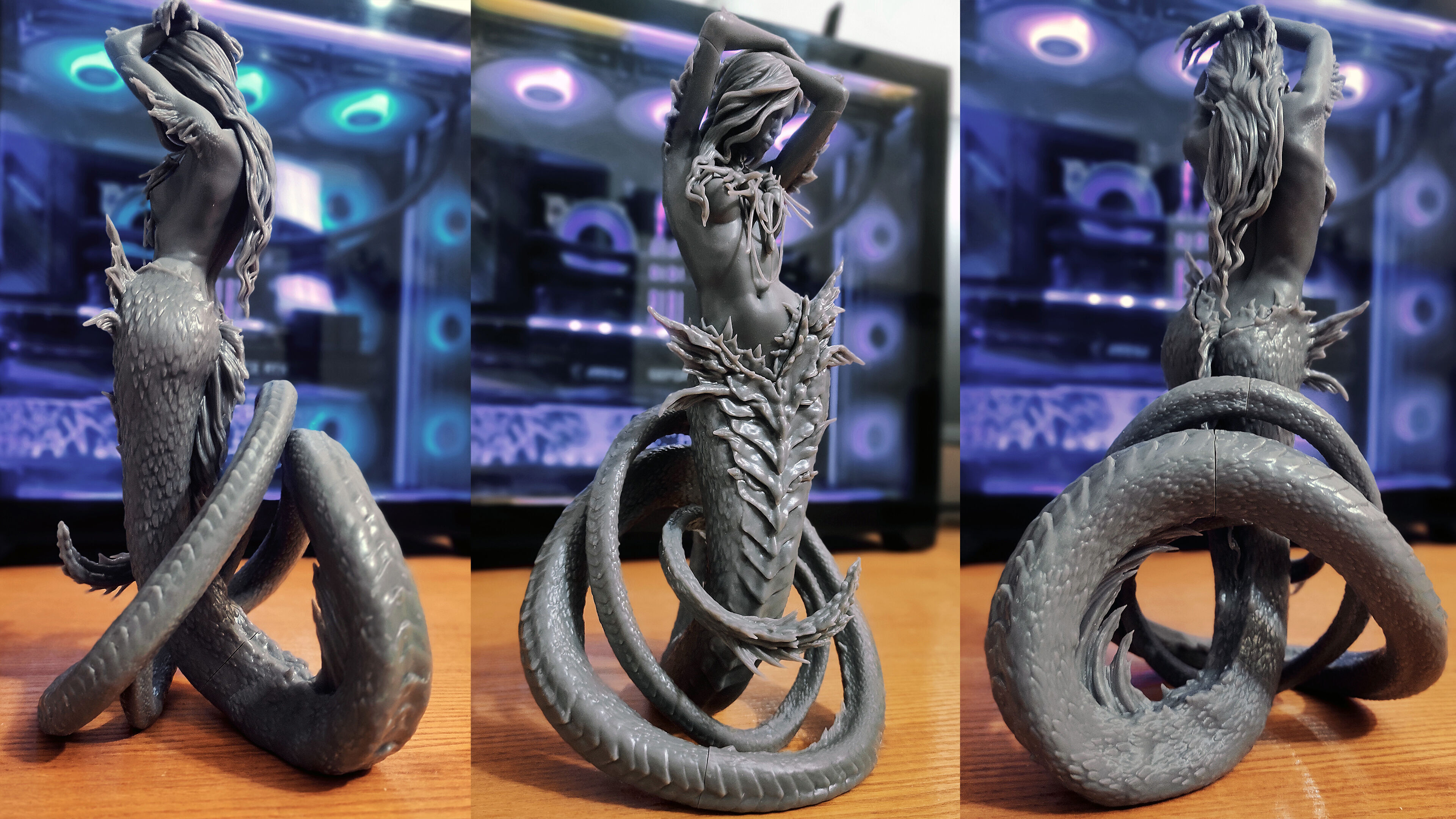 Naga UPD - Printable Stl 3D print model_4