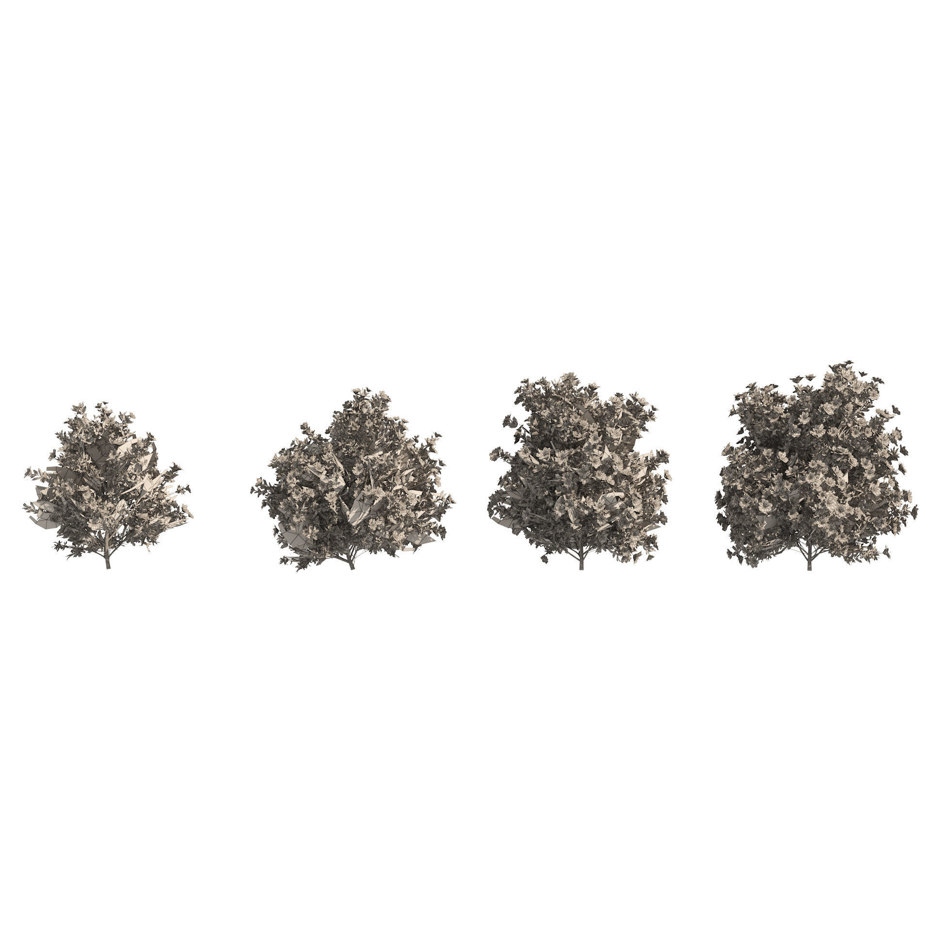 4 spring Azalea Flower Bush 3D model_8