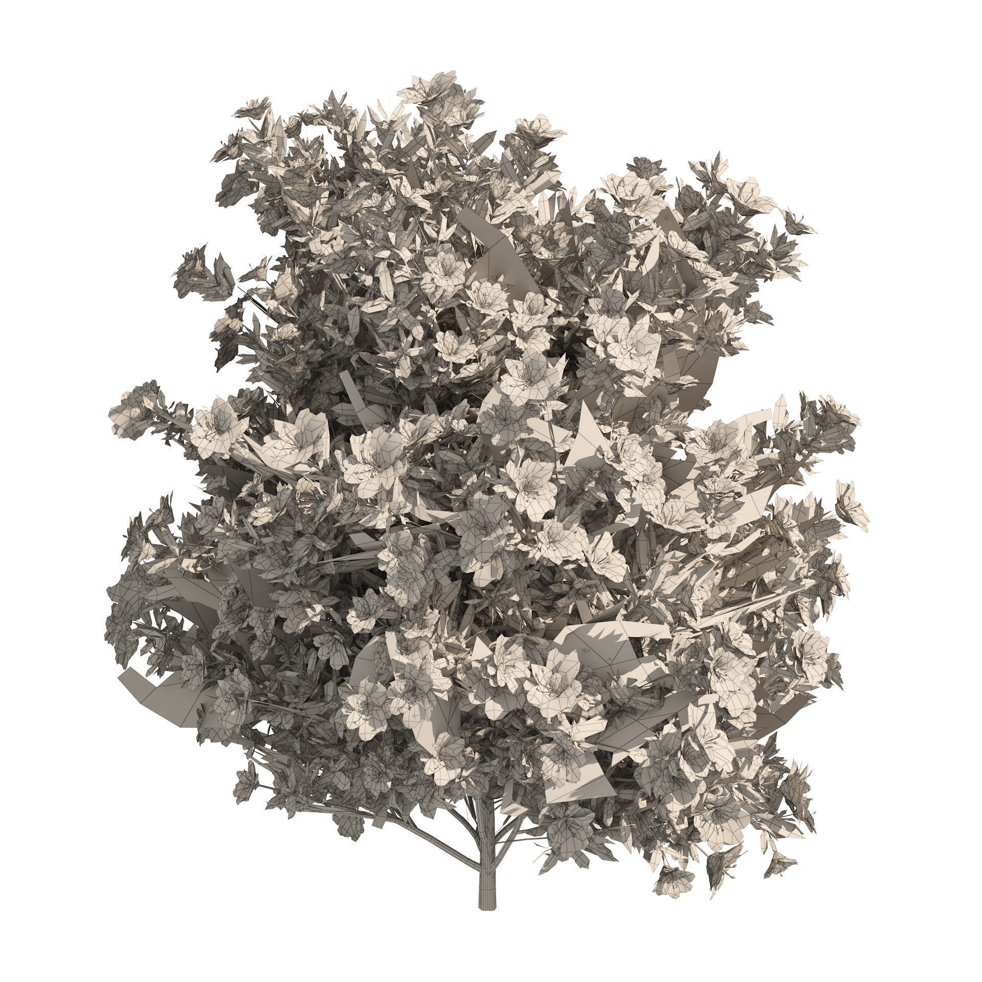 4 spring Azalea Flower Bush 3D model_7