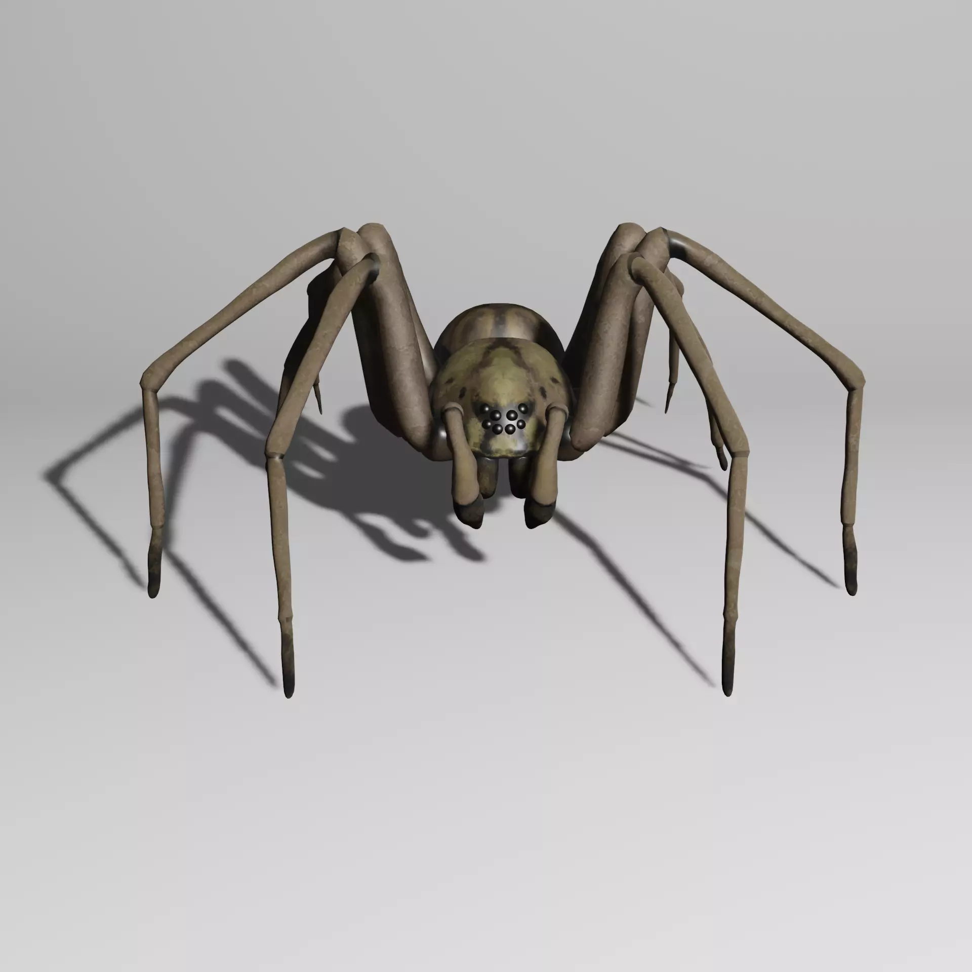 Spider with animations 3D model_0