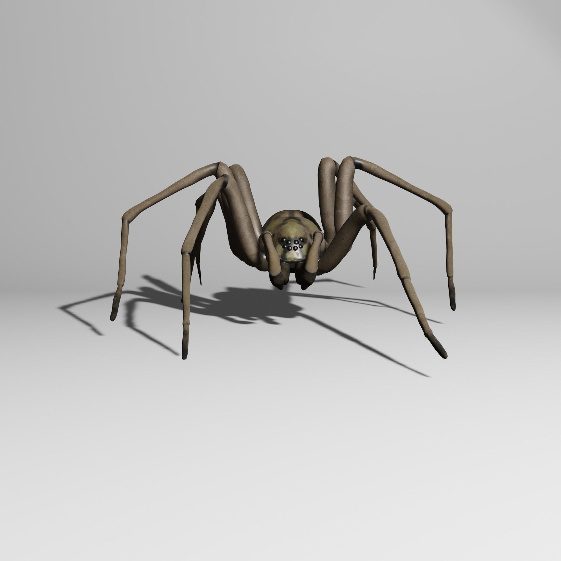 Spider with animations 3D model_2
