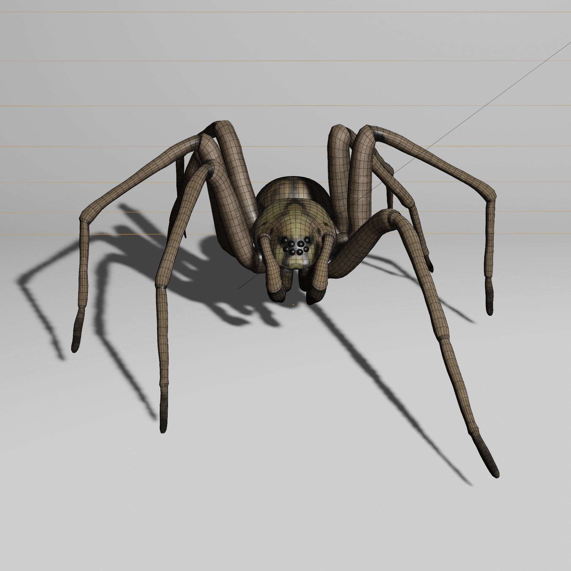 Spider with animations 3D model_5