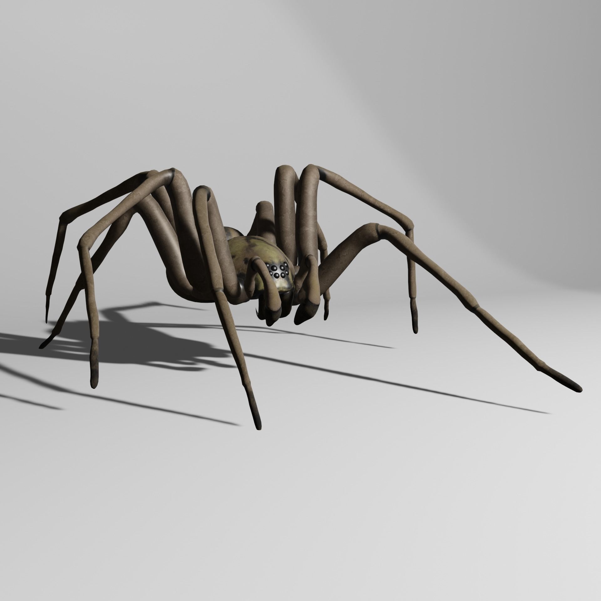 Spider with animations 3D model_3