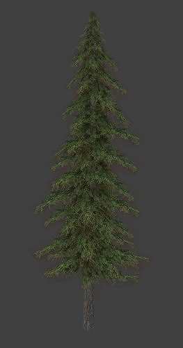 PINE TREE Low-poly 3D model