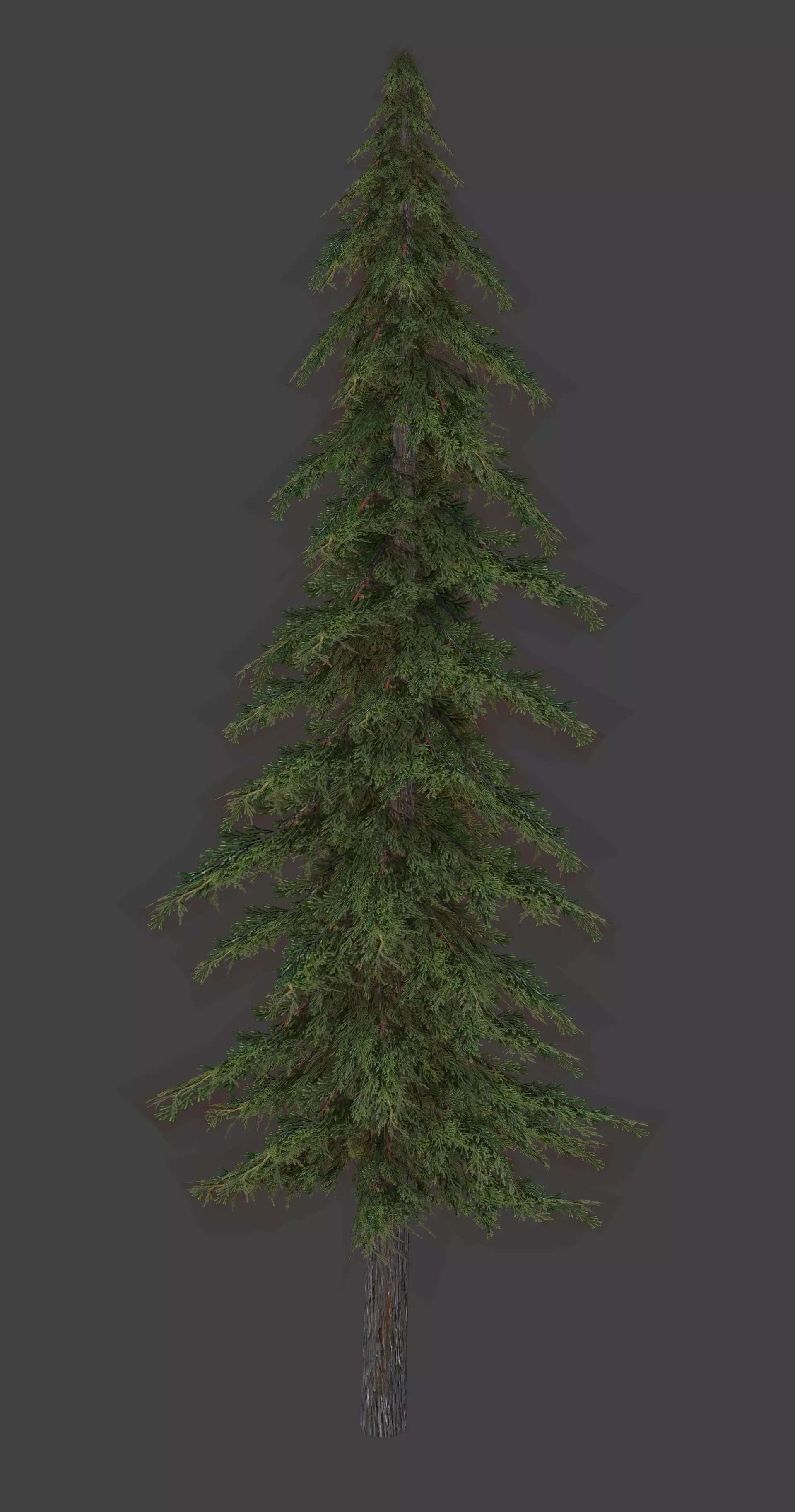 PINE TREE Low-poly 3D model_0