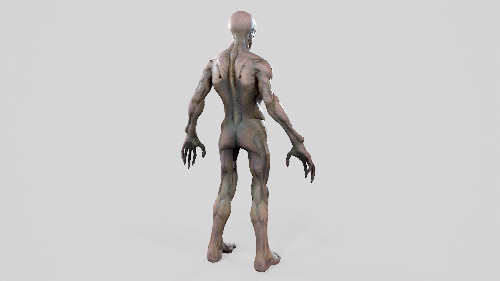 Zombie Undead - Rigged - Animated - Game Ready Low-poly 3D model_43