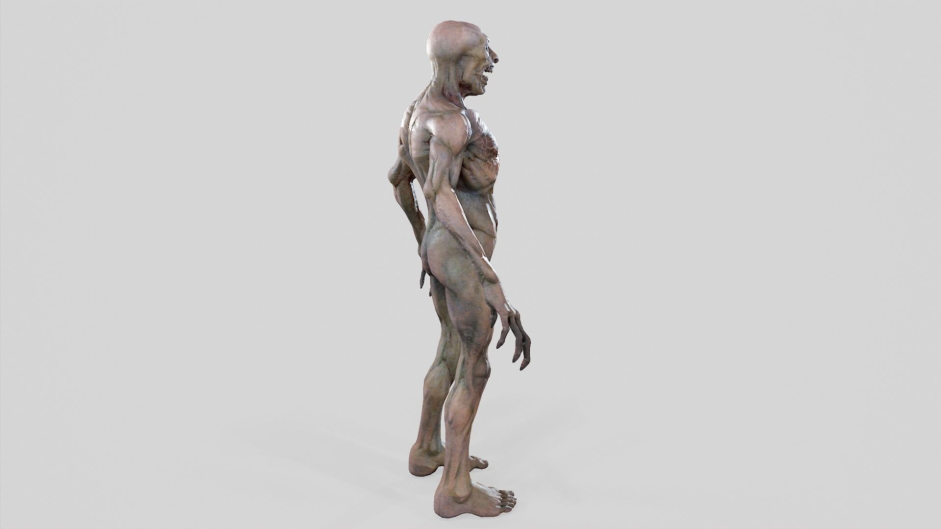 Zombie Undead - Rigged - Animated - Game Ready Low-poly 3D model_35