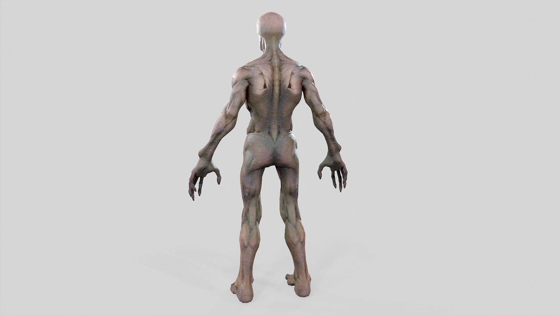 Zombie Undead - Rigged - Animated - Game Ready Low-poly 3D model_49