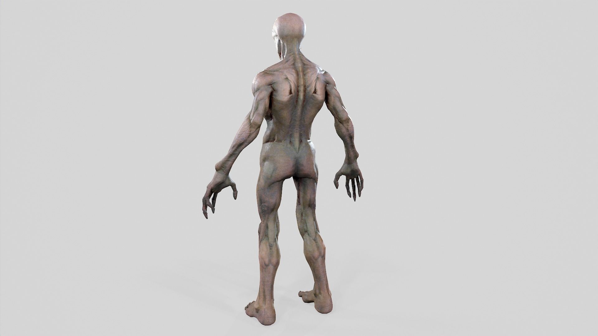 Zombie Undead - Rigged - Animated - Game Ready Low-poly 3D model_51