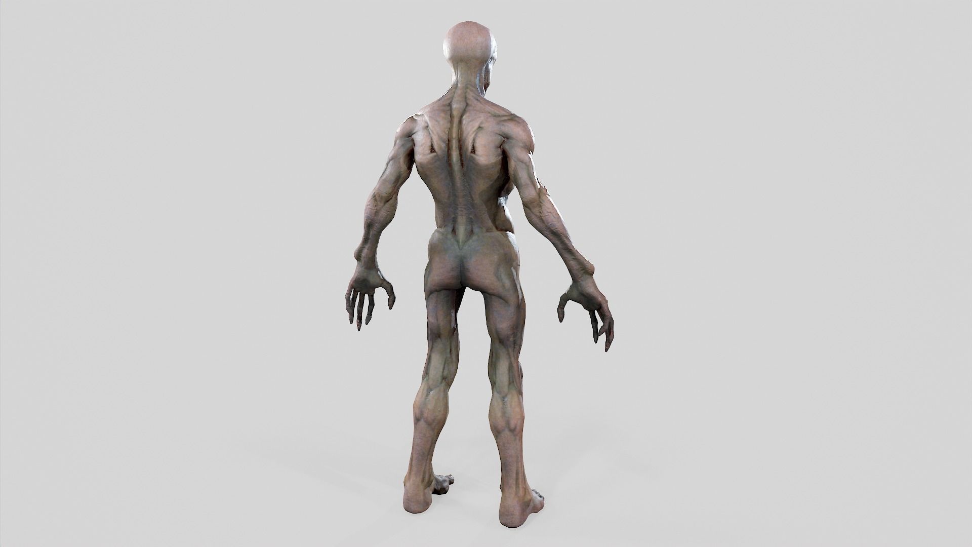 Zombie Undead - Rigged - Animated - Game Ready Low-poly 3D model_44