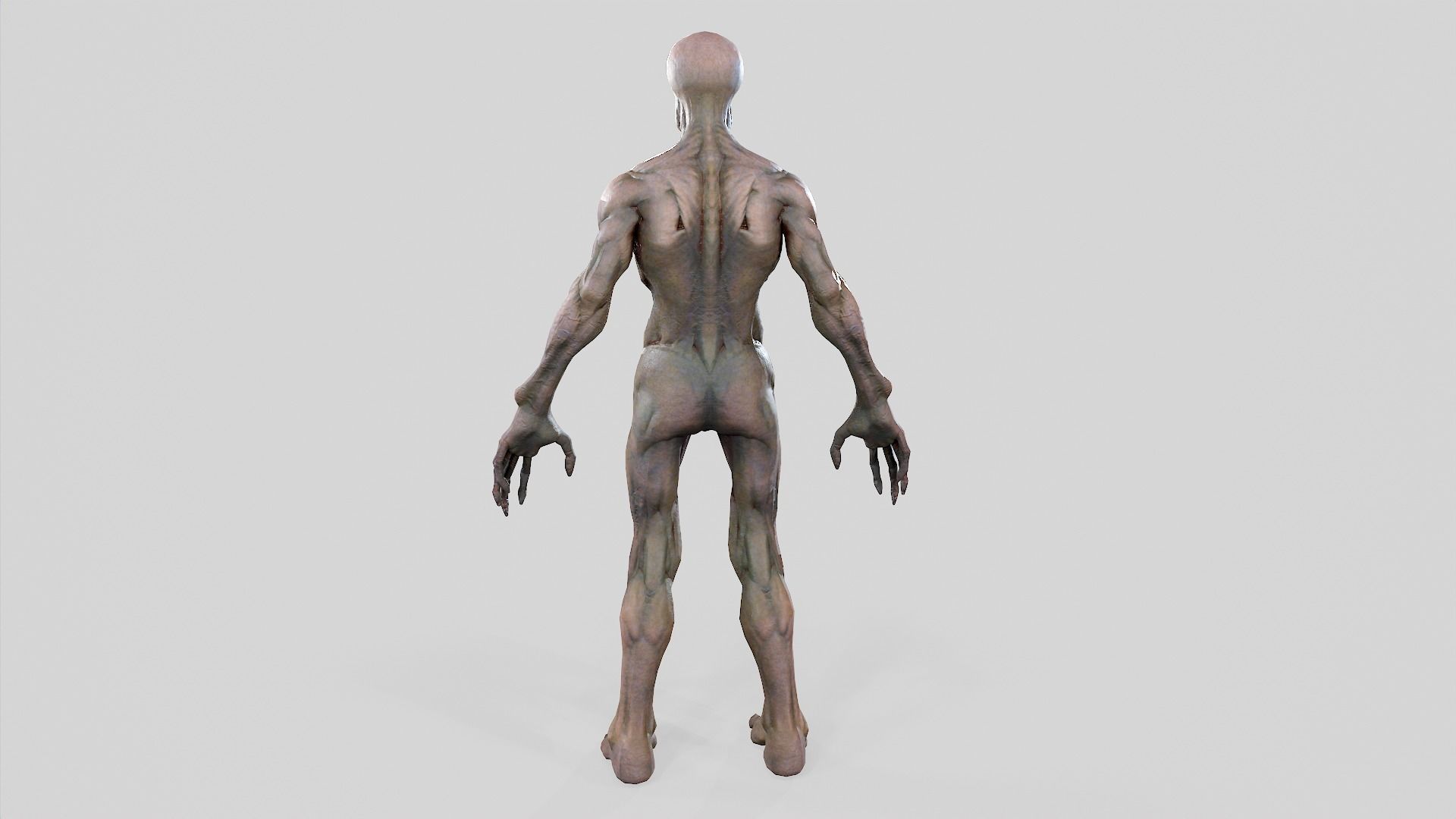 Zombie Undead - Rigged - Animated - Game Ready Low-poly 3D model_48