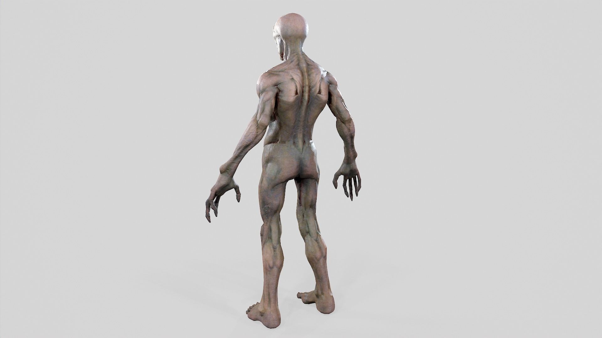 Zombie Undead - Rigged - Animated - Game Ready Low-poly 3D model_52