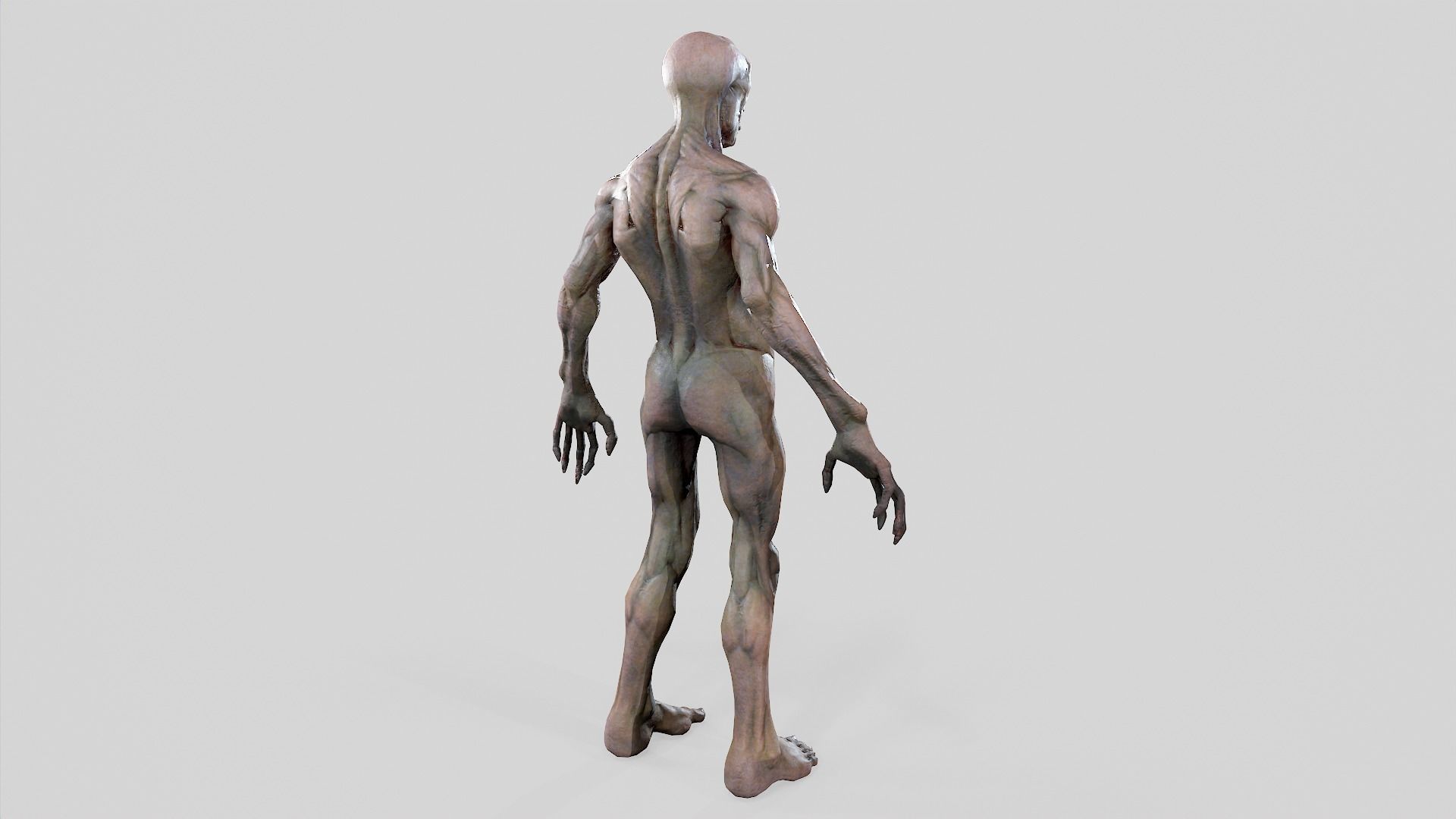 Zombie Undead - Rigged - Animated - Game Ready Low-poly 3D model_41