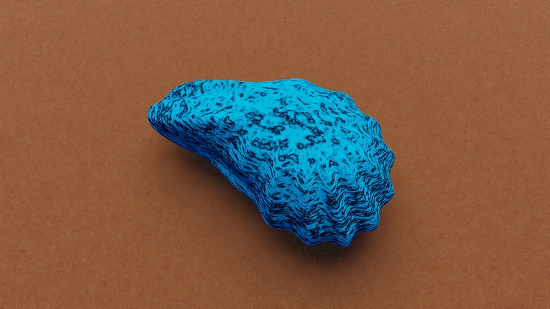 Oyster Shell 3D model_1