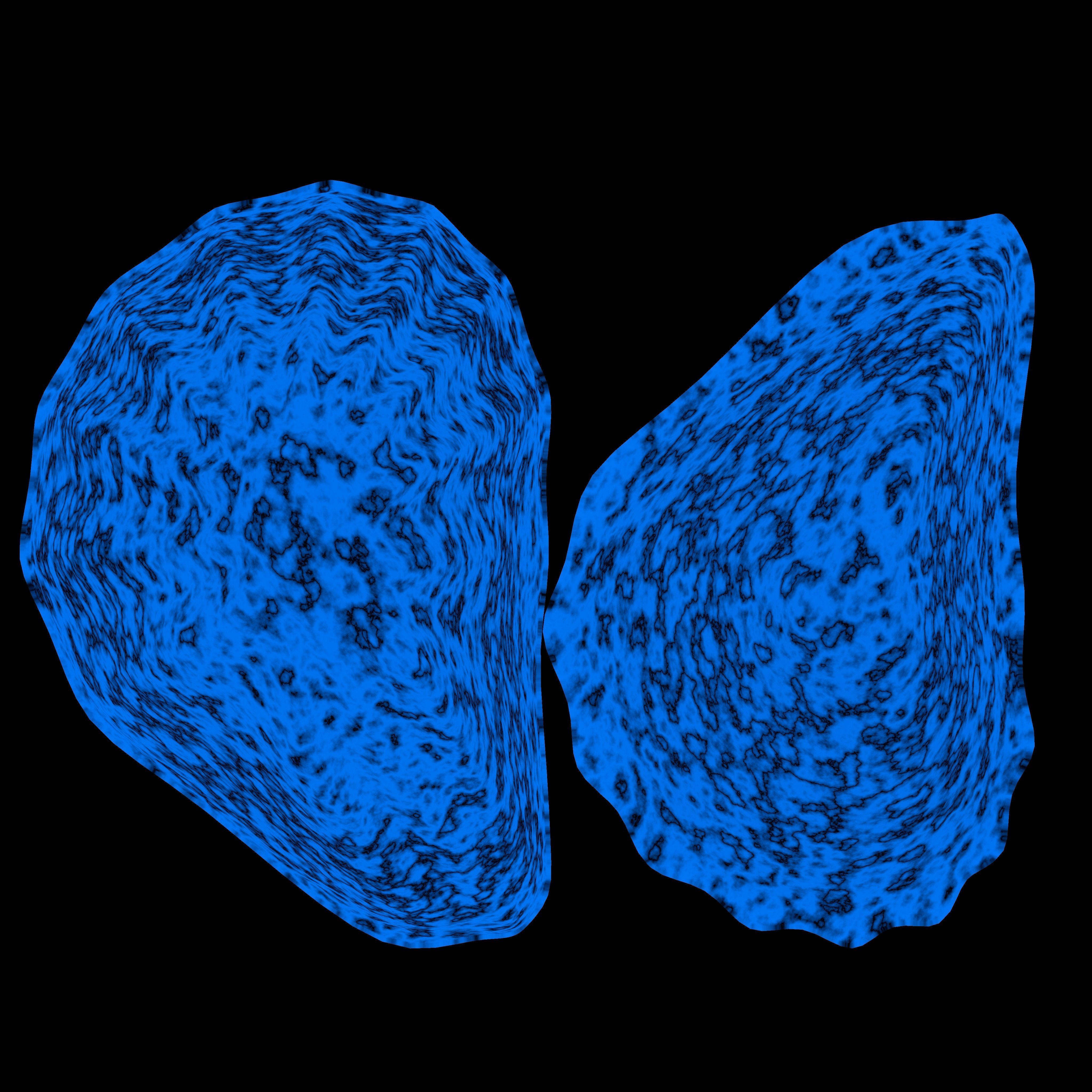 Oyster Shell 3D model_14