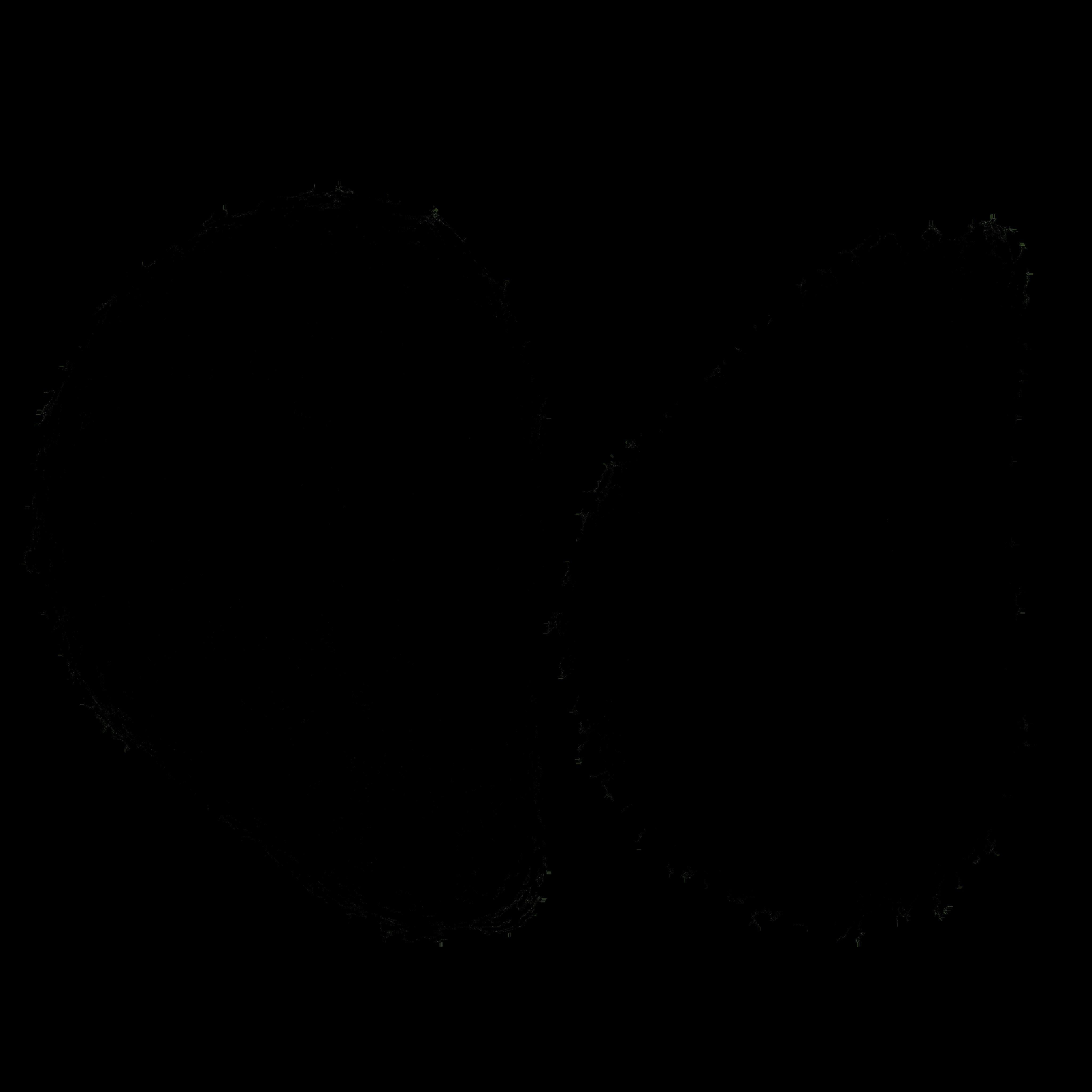 Oyster Shell 3D model_15