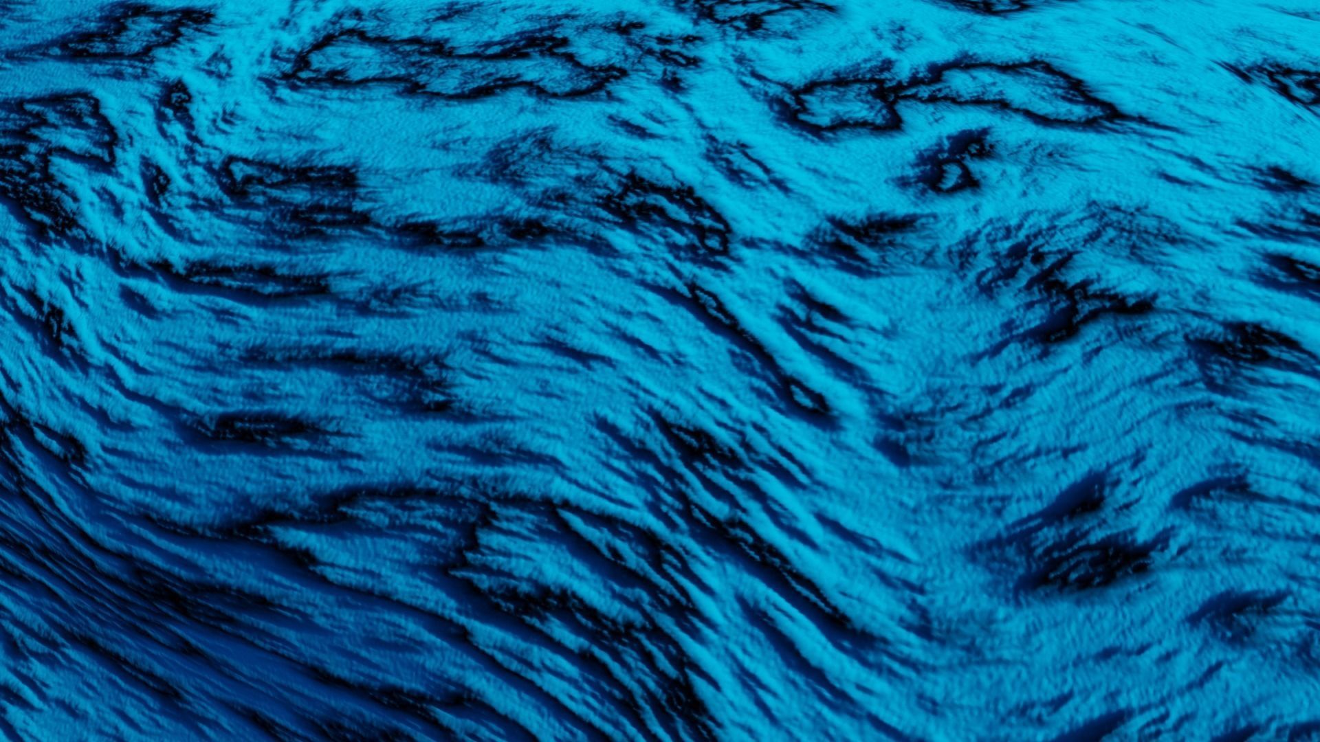 Oyster Shell 3D model_2