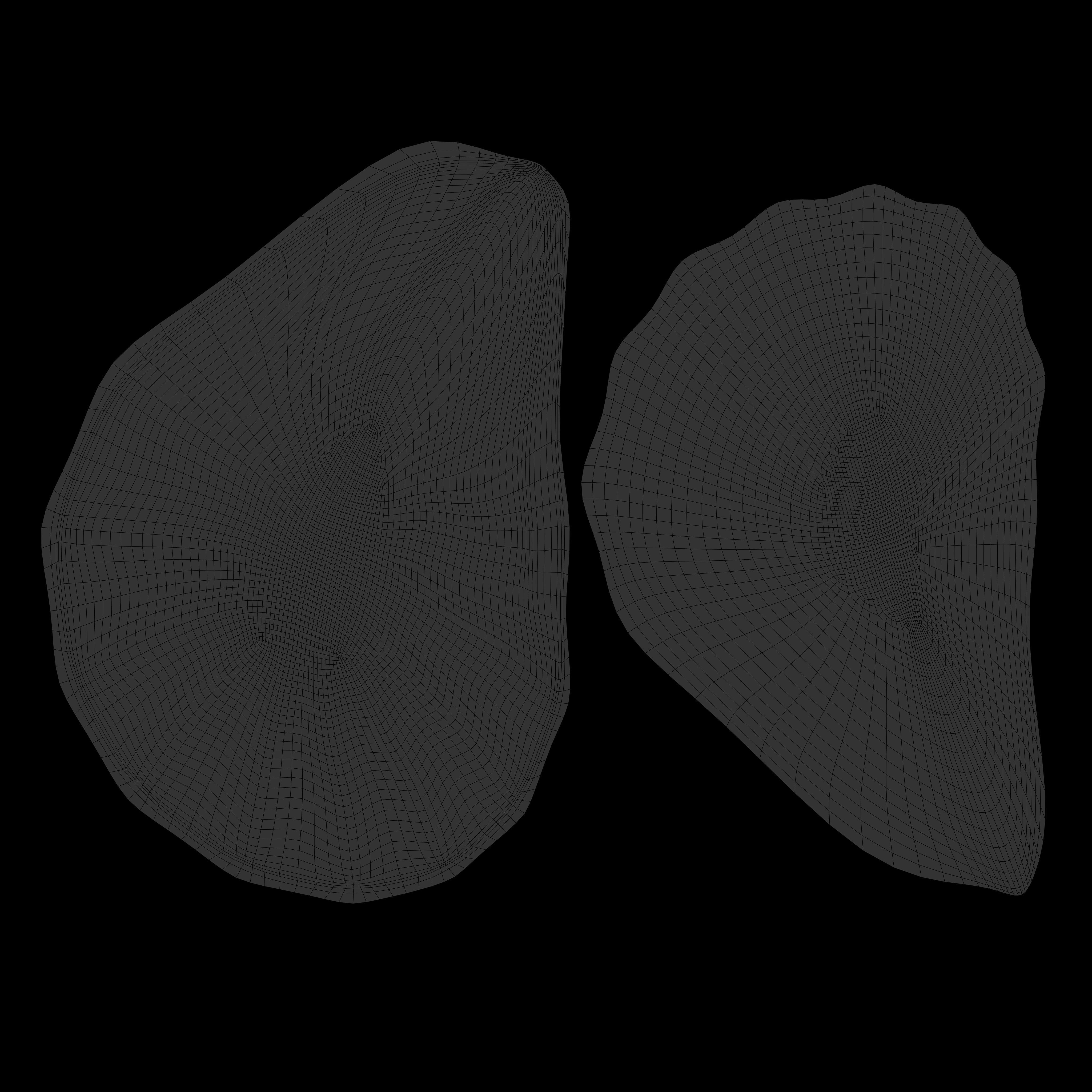 Oyster Shell 3D model_12