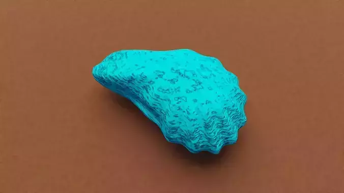 Oyster Shell 3D model Oyster Shell 3D model
