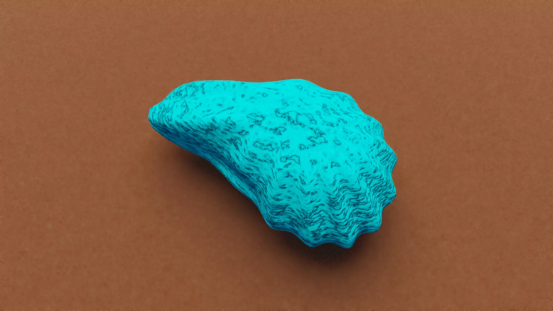 Oyster Shell 3D model_0