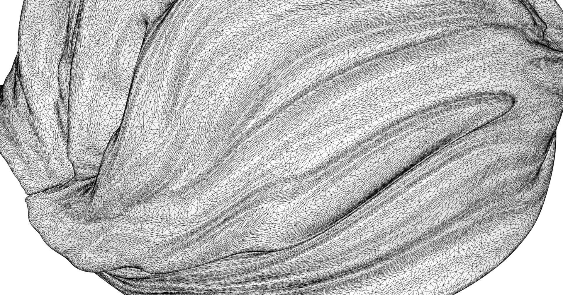 Pillow swirl 3D model_6