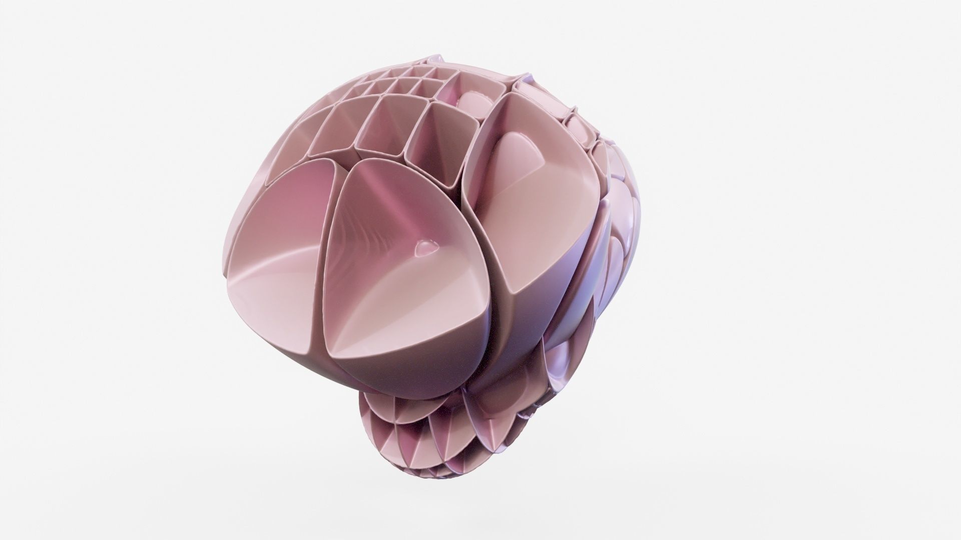 Bear Paw 3D model_19