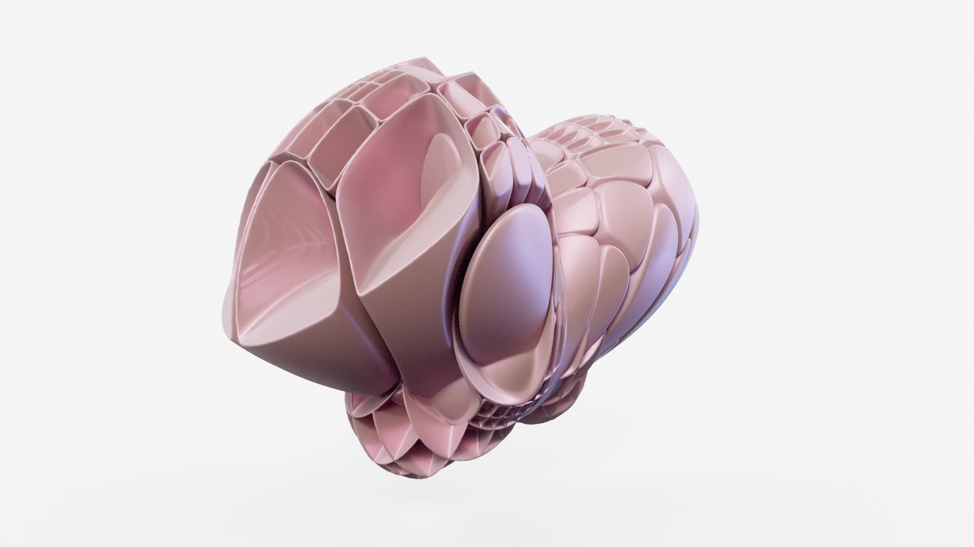 Bear Paw 3D model_18